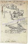 A French Phallic Drawing From The Eighteenth Century