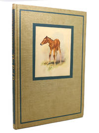 image of THE RED PONY