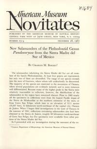 image of New Salamanders of the Plethodontid Genus Pseudoeurycea from the Sierra Madre Del Sur of Mexico