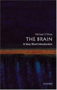 The Brain