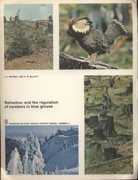 image of Behaviour and the Regulation of Numbers in Blue Grouse