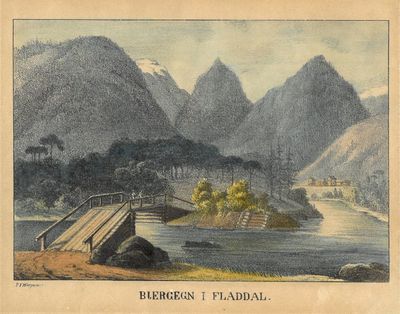 Bjergegn i Fladdal.