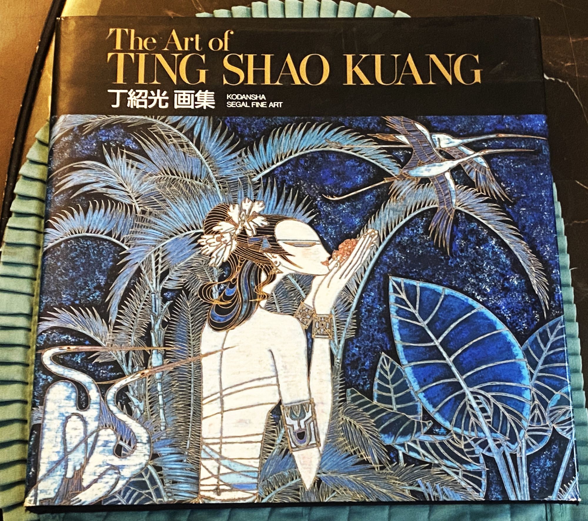 The Art of Ting Shao Kuang by Ting Shao Kuang, Anna Manzoni 
