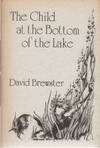 THE CHILD AT THE BOTTOM OF THE LAKE