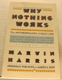 Why nothing works. The Anthropology of Daily Life.