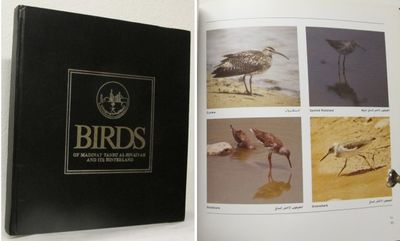 Birds of Madinat Yanbu Al-Sinaiyah and Its…
