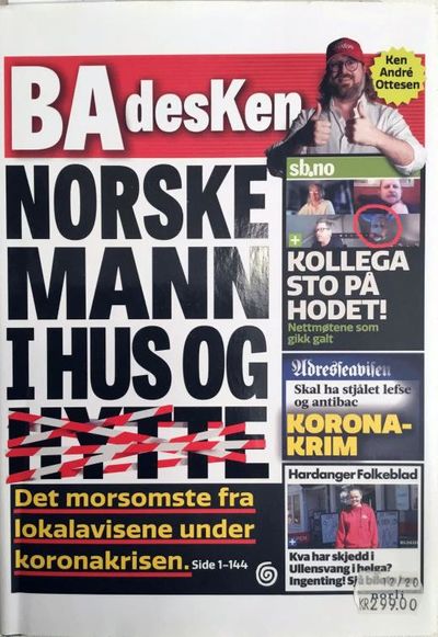 Norske mann i hus og hytte