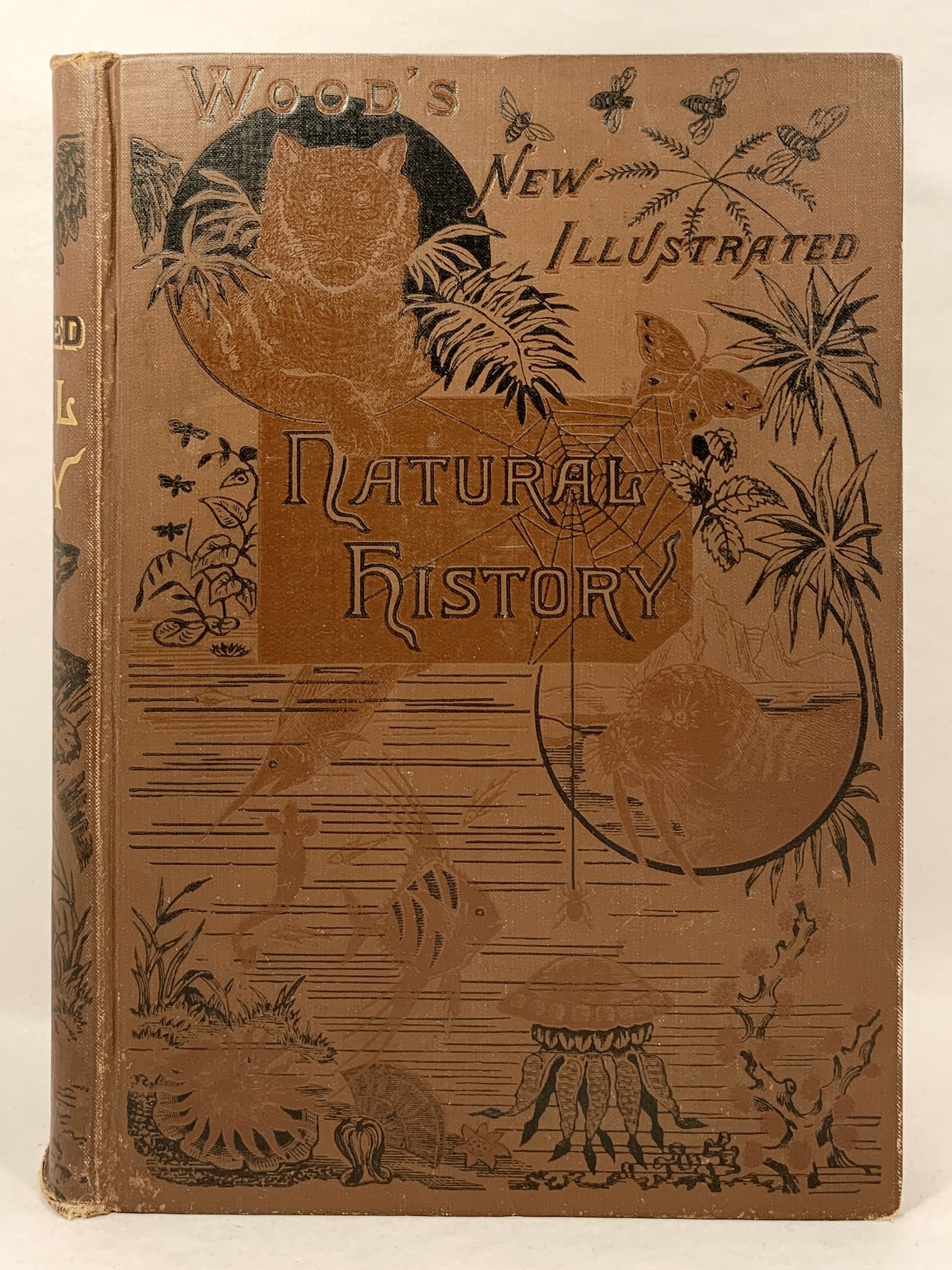 The New Illustrated Natural History by Wood, J G | Hardcover