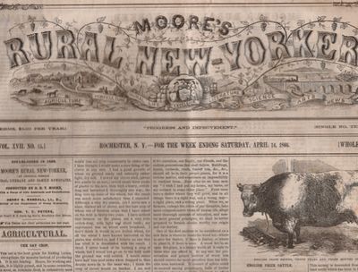 Moore's Rural New Yorker