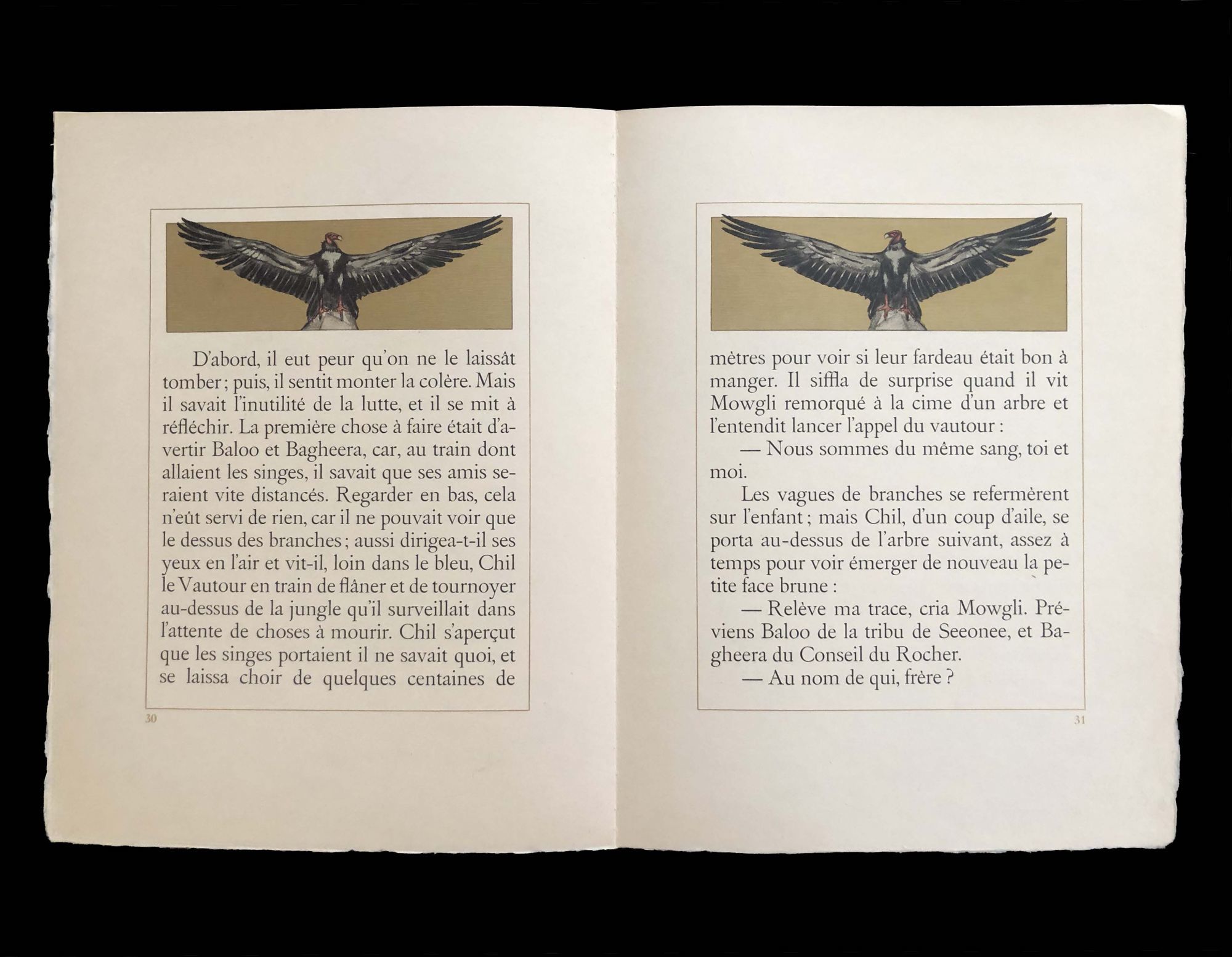 Sorry for coming back to this, but how the FUCK is Jake beating Viper? :  r/cartoons, image size:2000x1554