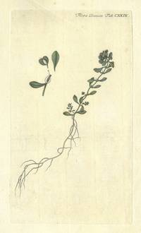 Plansje CXXIX fra Flora Danica. Tredje hefte.