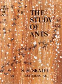 image of The Study of Ants