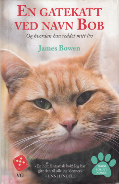 En gatekatt ved navn Bob.