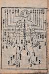 Shinkyuu Bassui [Transliteration - A Collection on Acupuncture]