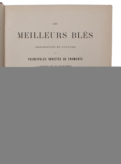 Les Meilleurs Blés. Description et Culture des Principales Variétés de Froments D'Hiver et de Printemps. (photo 2)