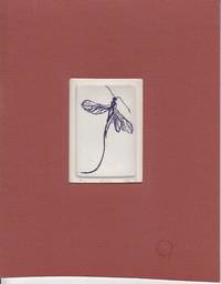 image of Mounted Etching - FLY - Signed, Limited #40/50