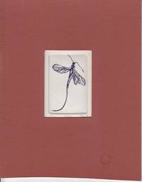 Mounted Etching - FLY - Signed, Limited #40/50