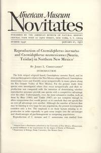 image of Reproduction of Cnemidophorus Inornatus and Cnemidophorus Neomexicanus (Sauria, Teiidae) in Northern New Mexico