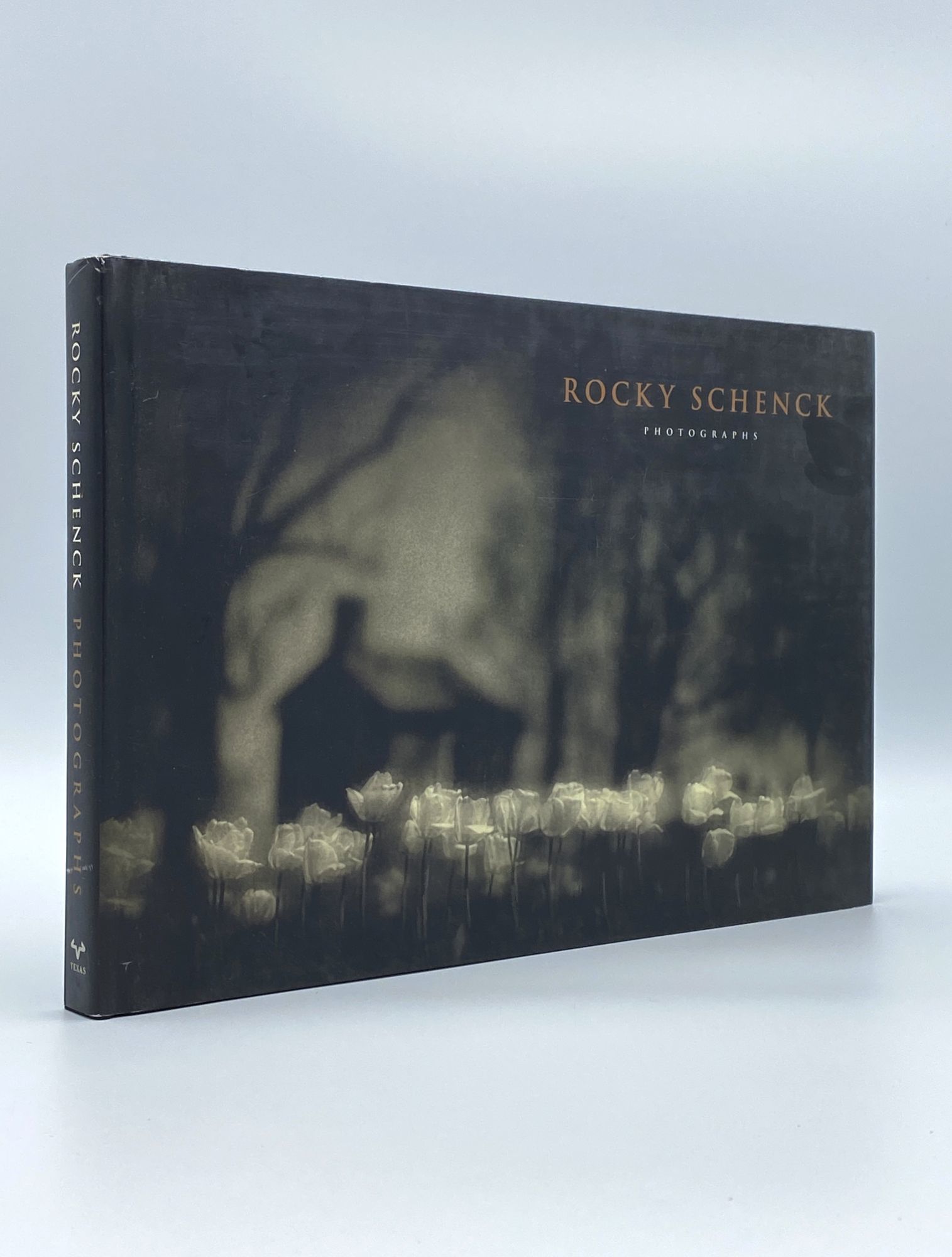 Rocky Schenck 写真集 Photographs Rocky Schenck 写真集 Photographs Rocky Schenck, The Recurring