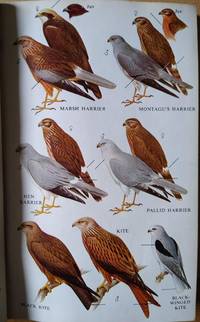 A Field Guide to the Birds of Britain and Europe