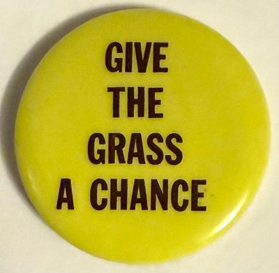 Give the grass a chance [pinback button]