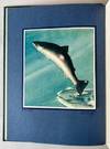 Leaping Silver: Words and Pictures on the Atlantic Salmon by Lee Wulff