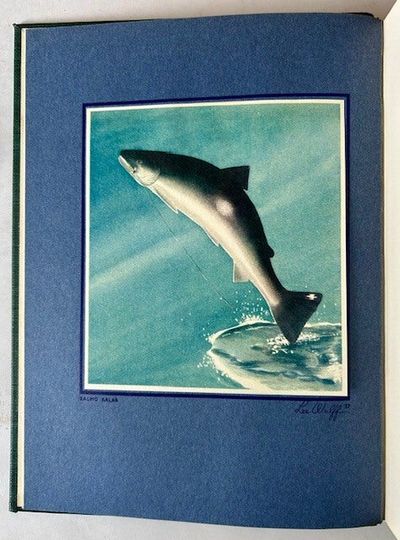 Leaping Silver: Words and Pictures on the Atlantic Salmon by Lee Wulff