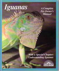 image of Iguanas Evertyhing about Selection, Care, Nutrition, Diseased, Breeding and Behavior