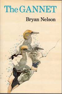 The Gannet