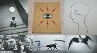 WAYWARD COGNITIONS: THE LIMITED EDITION