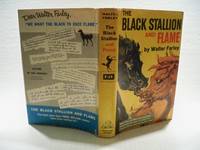 The Black Stallion and Flame