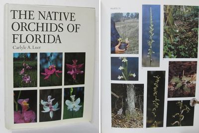 The Native Orchids of Florida.