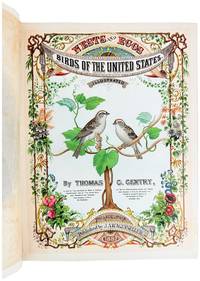 Nests and Eggs of Birds of the United States