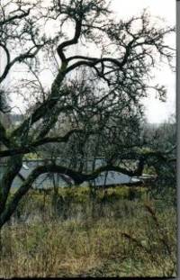 Den egentlige kommunen