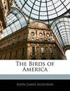 The Birds Of America