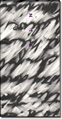 Fragments From A Stacked Deck