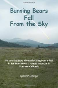 Burning Bears Fall From the Sky: My amusing story about relocating from a desk in San Francisco...