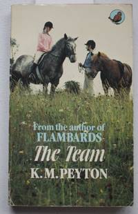 THE TEAM.  (Horse Story for Teens)