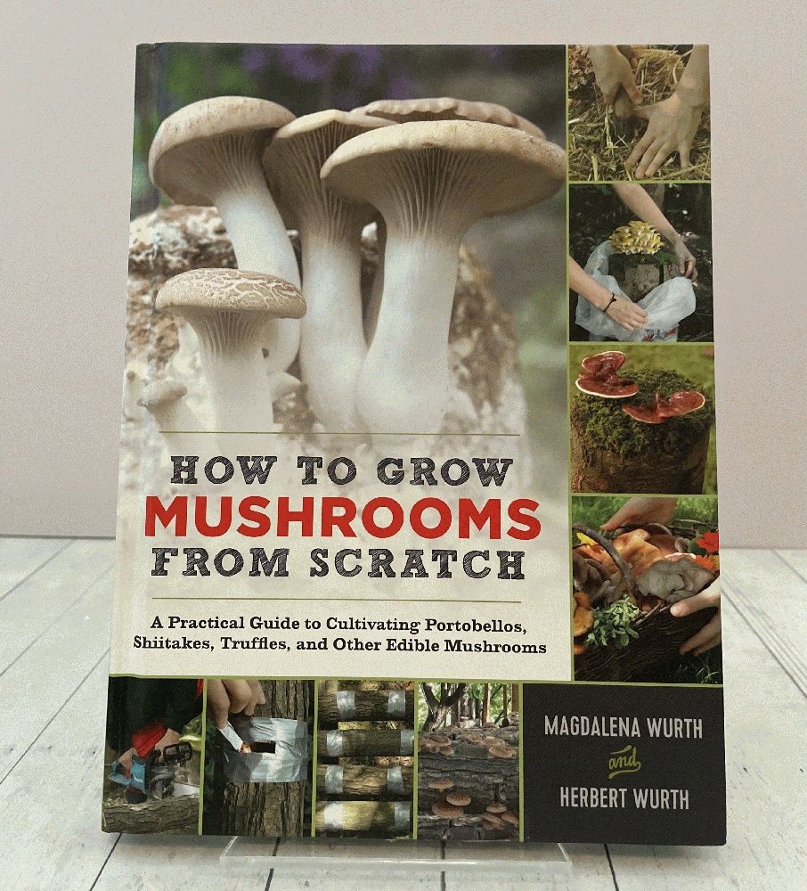 How to Grow Mushrooms from Scratch A Practical Guide to Cultivating