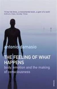 Feeling of What Happens