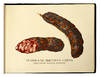 View Image 3 of 6 for Kolbasy i miasokopchenosti Inventory #172505