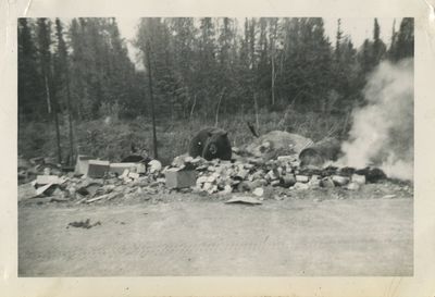 Photo Album Documenting the...; (photo 3)