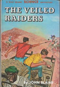 cover of The Veiled Raiders