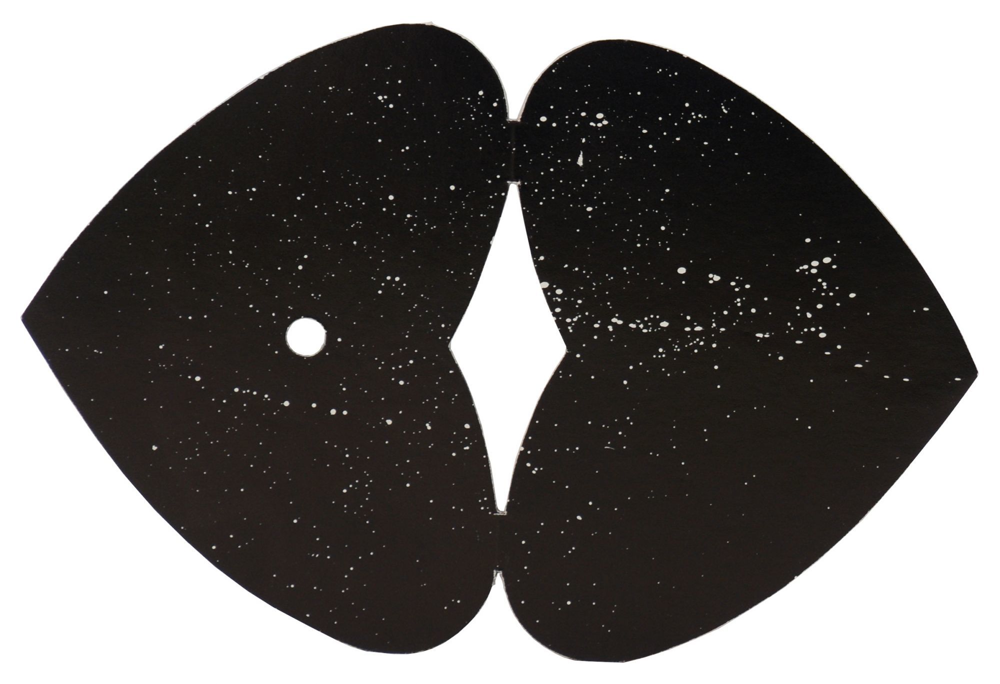Fig. 1