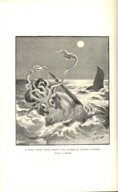 The Cruise of the “Cachalot”. Round the World after Sperm Whales. Third Impression (Second Edition). (photo 3)
