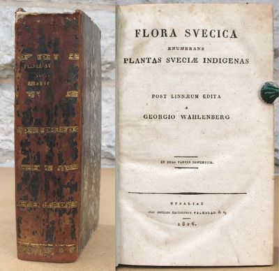 Flora Svecia enumerans plantas sueciae indigenas.