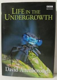 Life in the Undergrowth.