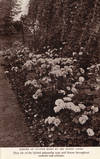David Davies 1864-1939