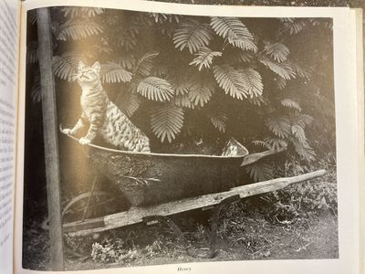 THE CATS OF WILDCAT HILL [WITH ALS]