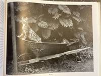 THE CATS OF WILDCAT HILL [WITH ALS]